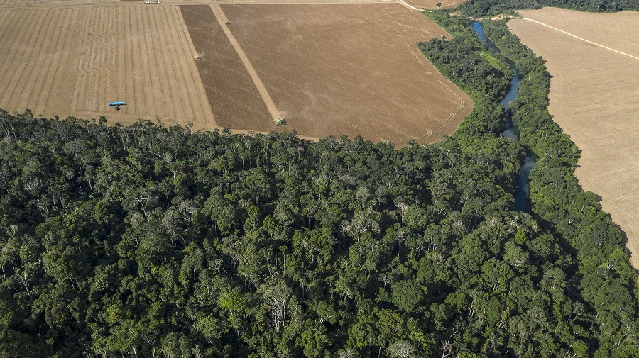 Máquina agrícola (esq) passa próximo a um fragmento de floresta no ponto B260-T1, altura do Km77 da BR-163.

Foto Marizilda Cruppe/Divulgação